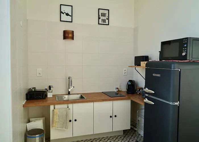 Nr 2 Centre 2 Personnes 50 M2 Renove Lejlighed Tarbes